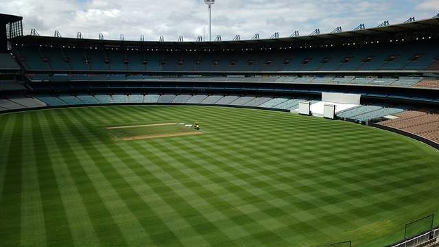 的实际贡献 的实际贡献