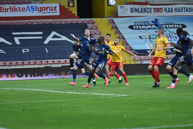 投资者权益 投资者权益