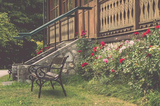 的競爭力 的競爭力