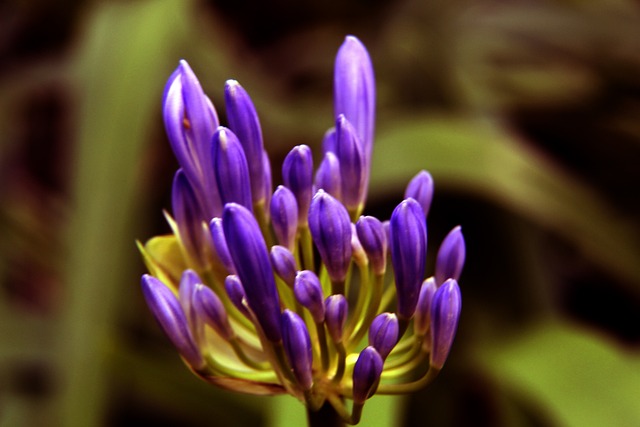 同时为全球 同时为全球