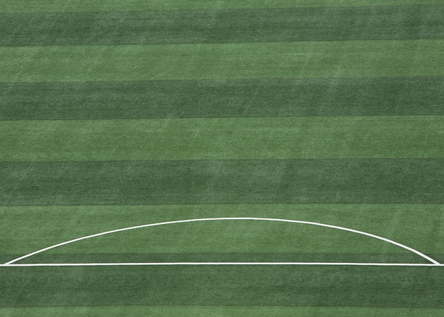 更展现了球 更展现了球