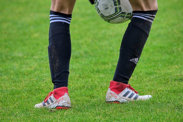 他所指的不 他所指的不