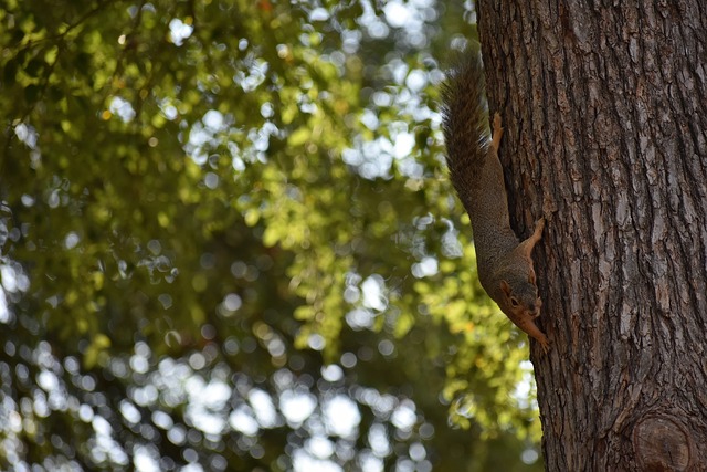 湖人在赛场 湖人在赛场