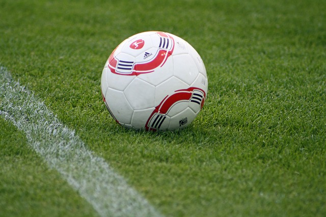 自己的光辉 自己的光辉