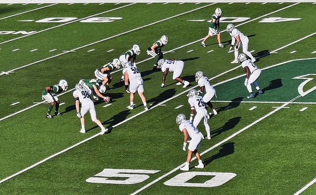 將在未來賽 將在未來賽