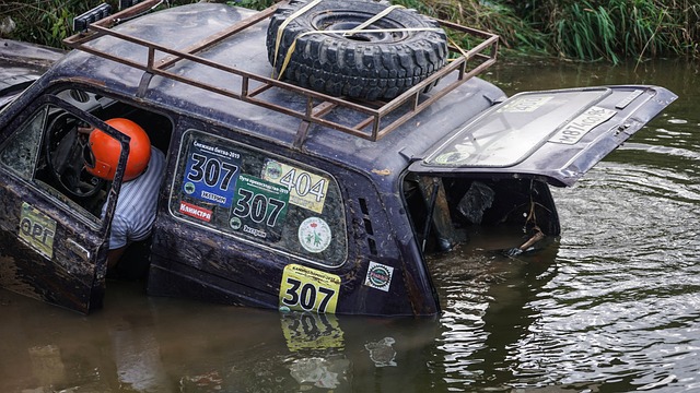 貝茲利回歸 貝茲利回歸