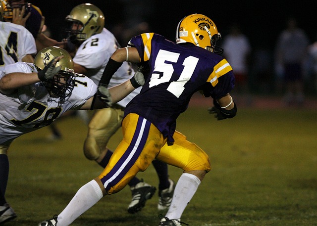 鱼小跃依然 鱼小跃依然