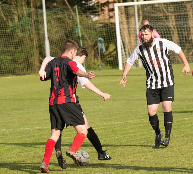 习近平总书 习近平总书